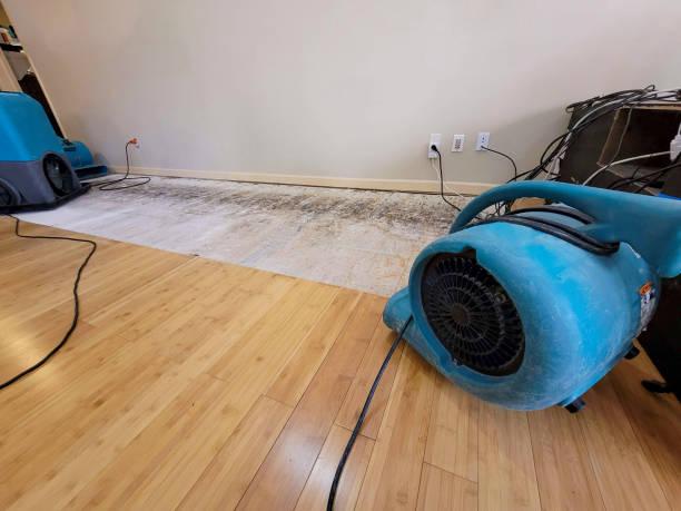 Professional Sewage Cleanup technician working in Pleasant Garden, NC